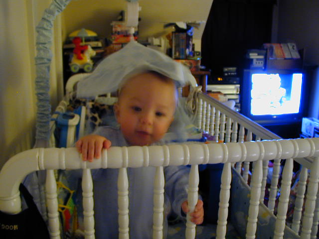 33230639.JPG, 3/23/03, 52 kB