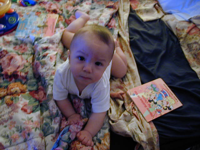 33260646.JPG, 3/26/03, 58 kB