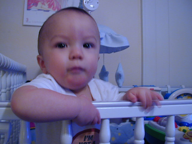 33270651.JPG, 3/27/03, 47 kB