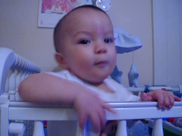 33270652.JPG, 3/27/03, 54 kB