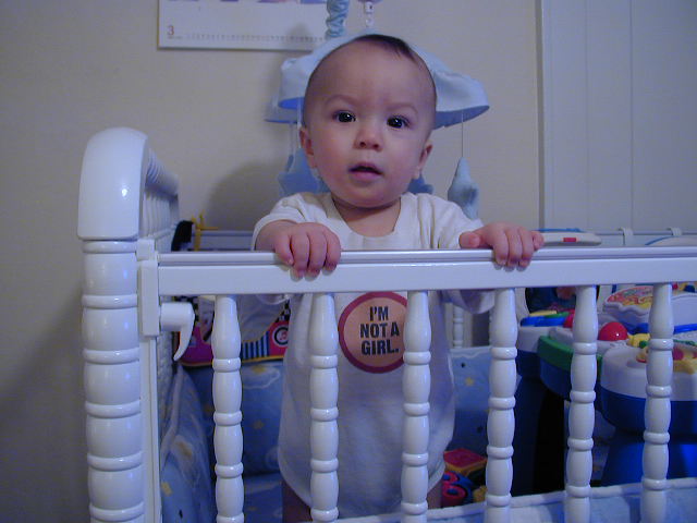 33270655.JPG, 3/27/03, 50 kB