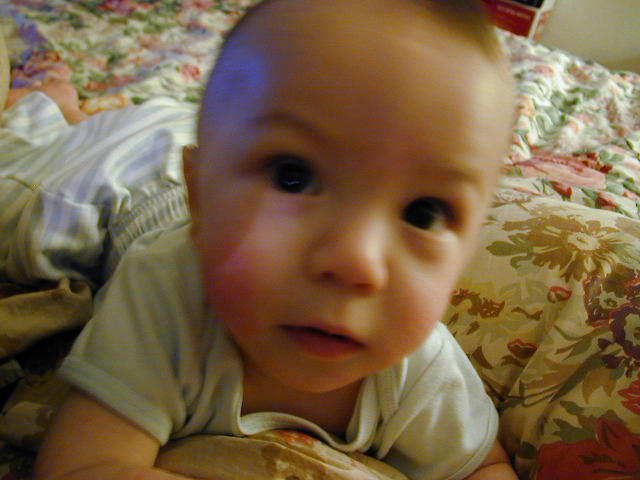 33300659.JPG, 3/30/03, 53 kB