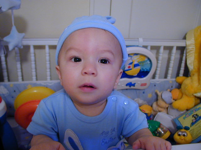 34200666.JPG, 4/20/03, 51 kB