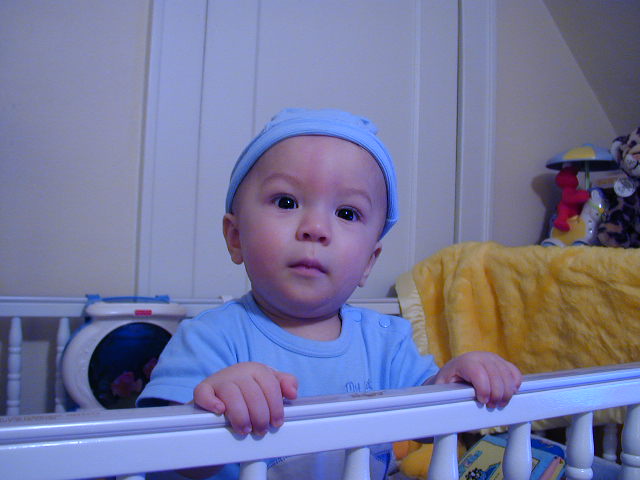 34200667.JPG, 4/20/03, 51 kB