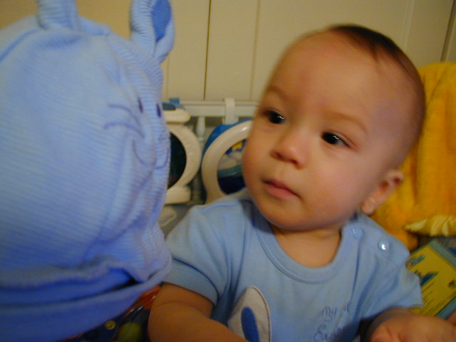 34200670.JPG, 4/20/03, 49 kB