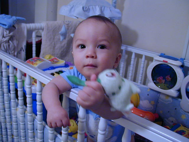 34200673.JPG, 4/20/03, 53 kB