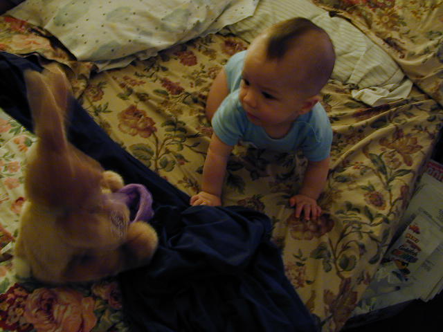 34200674.JPG, 4/20/03, 55 kB