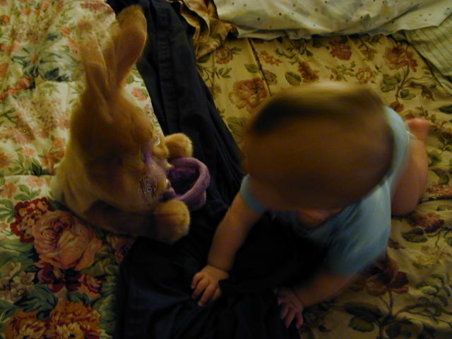 34200675.JPG, 4/20/03, 52 kB