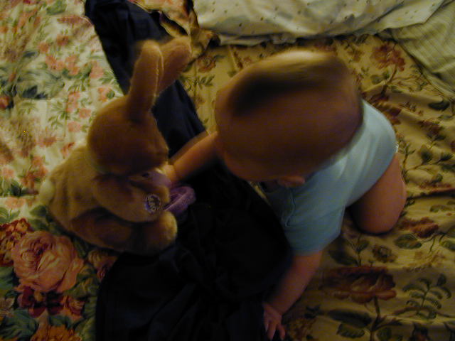 34200676.JPG, 4/20/03, 52 kB