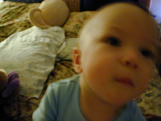 34200680.JPG, 4/20/03, 49 kB