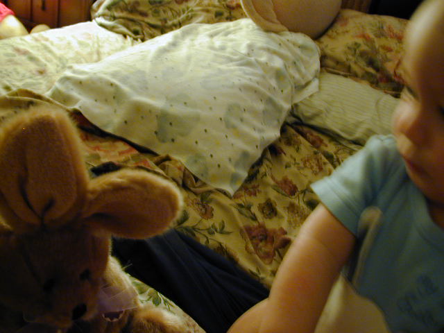 34200681.JPG, 4/20/03, 53 kB