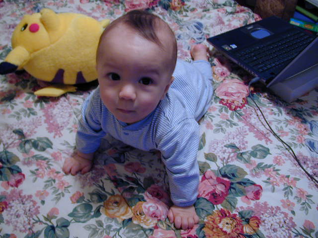 34240693.JPG, 4/24/03, 60 kB