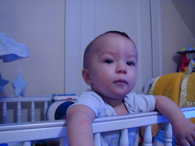 34260697.JPG, 4/26/03, 48 kB