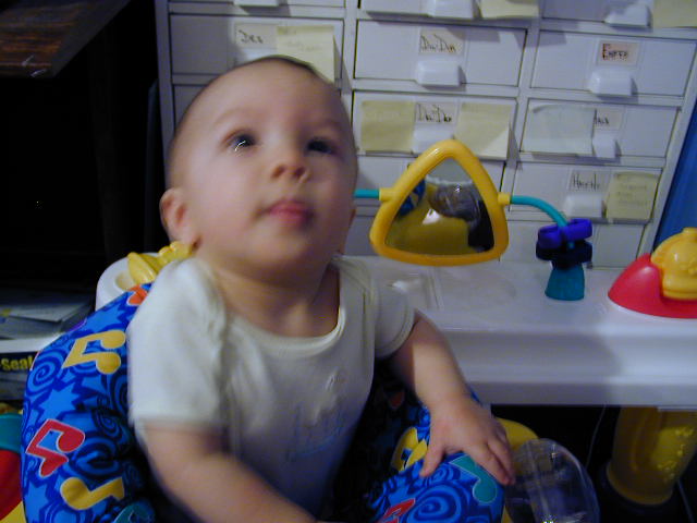34300701.JPG, 4/30/03, 50 kB
