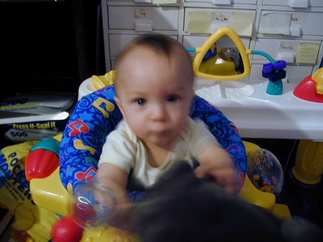 34300706.JPG, 4/30/03, 51 kB