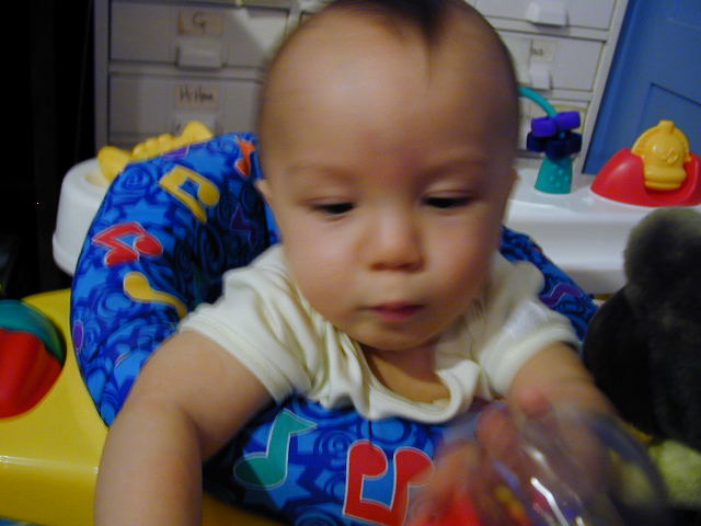 34300709.JPG, 4/30/03, 50 kB