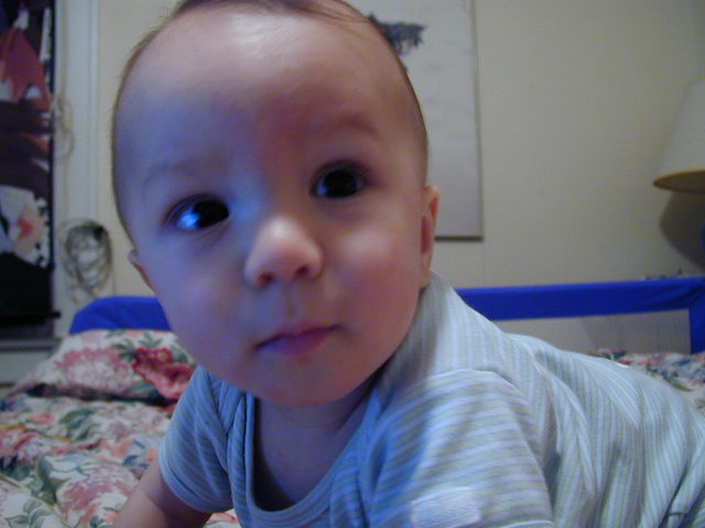 35020717.JPG, 5/2/03, 48 kB