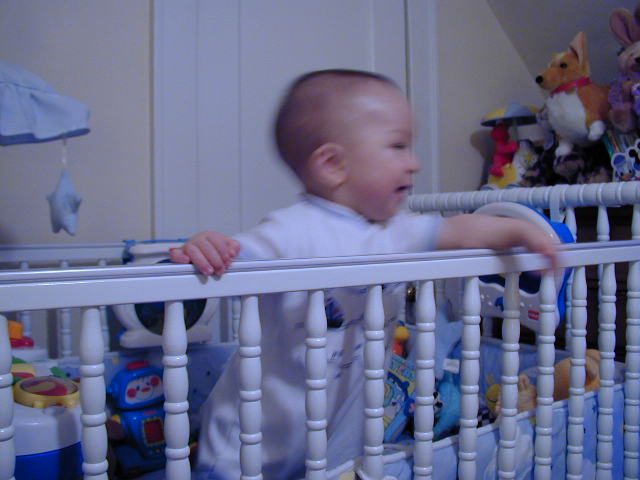 35070731.JPG, 5/7/03, 50 kB