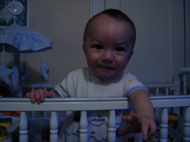 35070741.JPG, 5/7/03, 49 kB