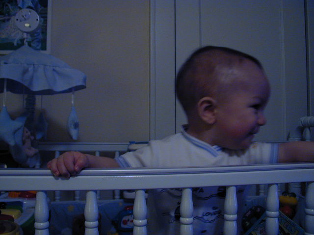 35070745.JPG, 5/7/03, 47 kB