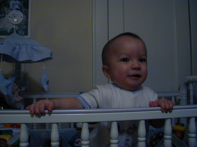 35070747.JPG, 5/7/03, 46 kB