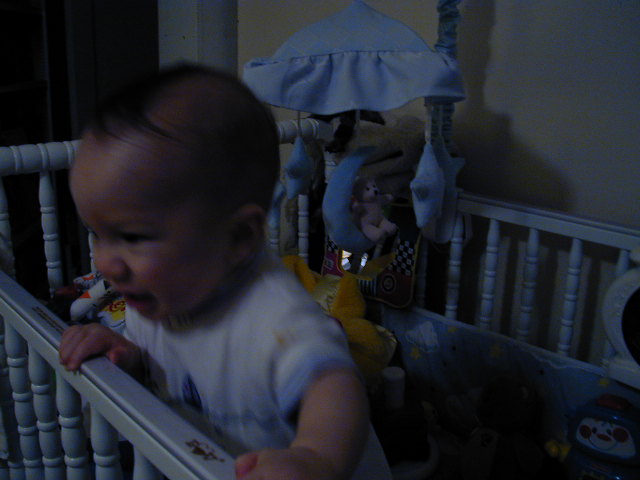 35070748.JPG, 5/7/03, 53 kB