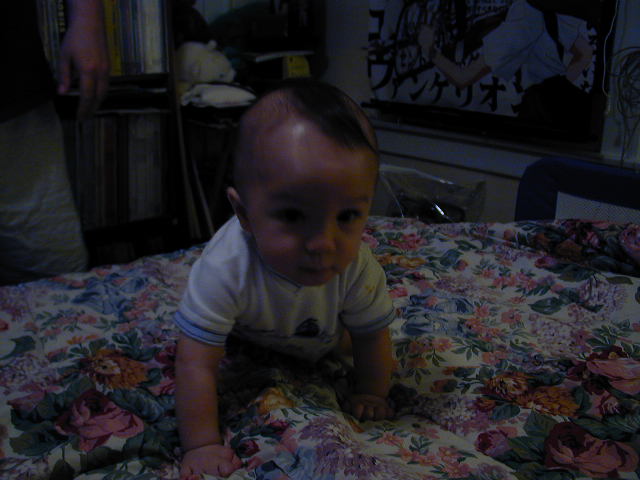 35070750.JPG, 5/7/03, 51 kB