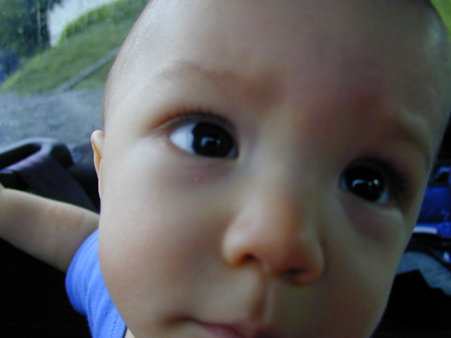 35090759.JPG, 5/9/03, 51 kB