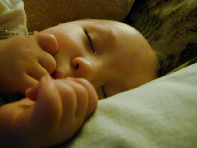 35210777.JPG, 5/21/03, 57 kB