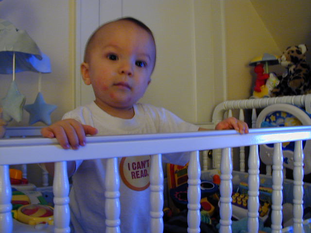 35210778.JPG, 5/21/03, 50 kB
