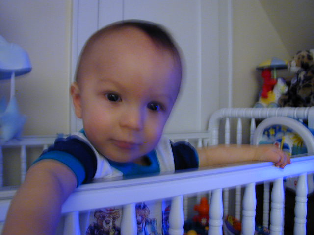 35230782.JPG, 5/23/03, 48 kB