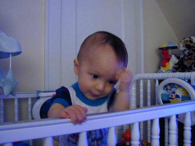 35230784.JPG, 5/23/03, 49 kB