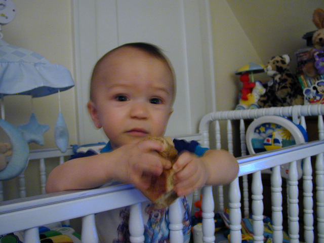 35230787.JPG, 5/23/03, 51 kB