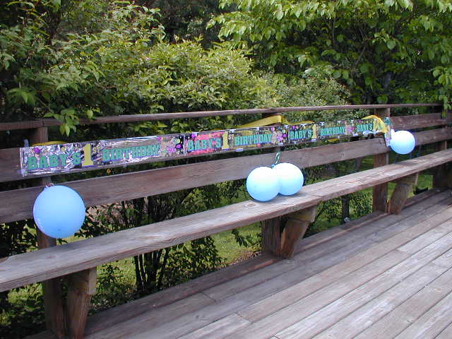 35230806.JPG, 5/23/03, 64 kB