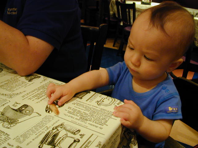 35270831.JPG, 5/27/03, 55 kB