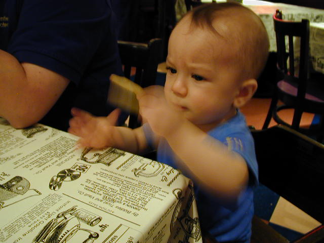 35270832.JPG, 5/27/03, 54 kB