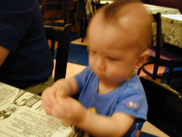 35270833.JPG, 5/27/03, 49 kB
