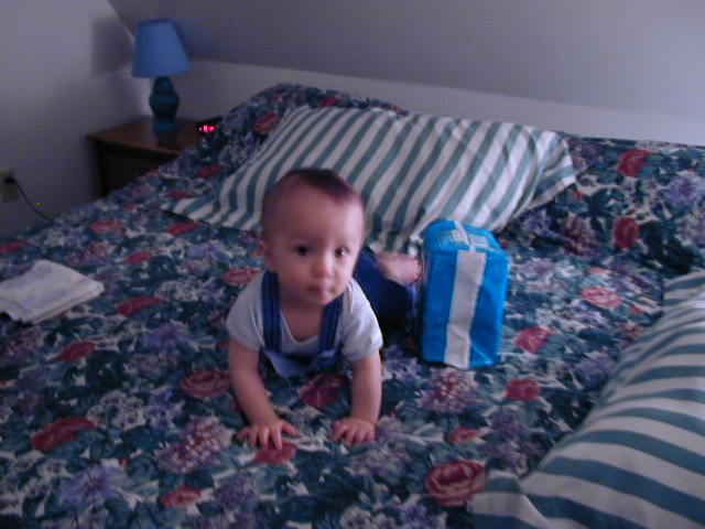36050836.JPG, 6/5/03, 55 kB