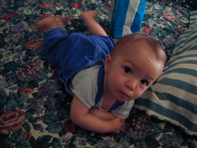 36050837.JPG, 6/5/03, 56 kB
