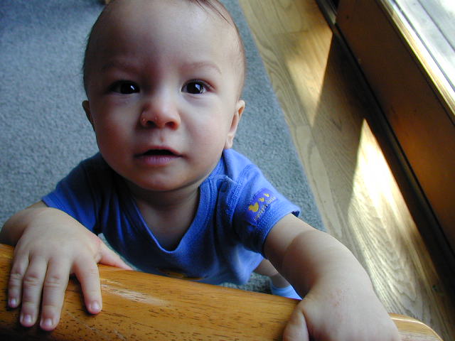 36050842.JPG, 6/5/03, 53 kB