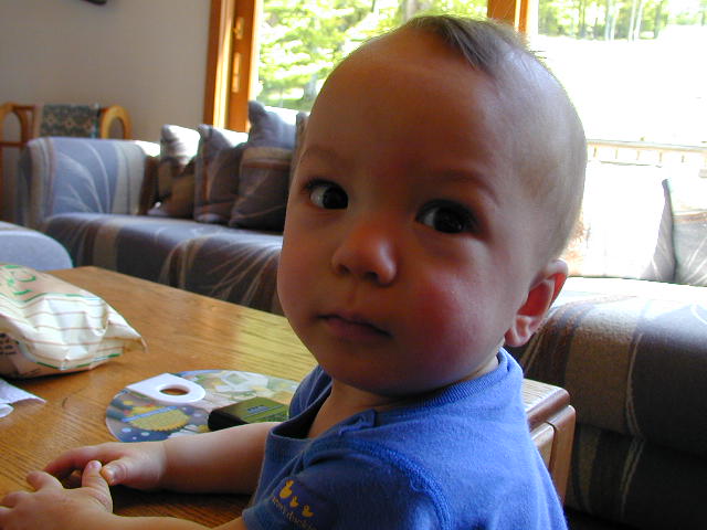 36050851.JPG, 6/5/03, 53 kB