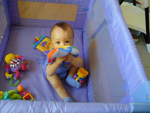 36050852.JPG, 6/5/03, 55 kB