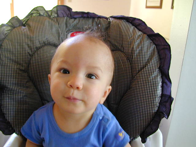 36050855.JPG, 6/5/03, 56 kB