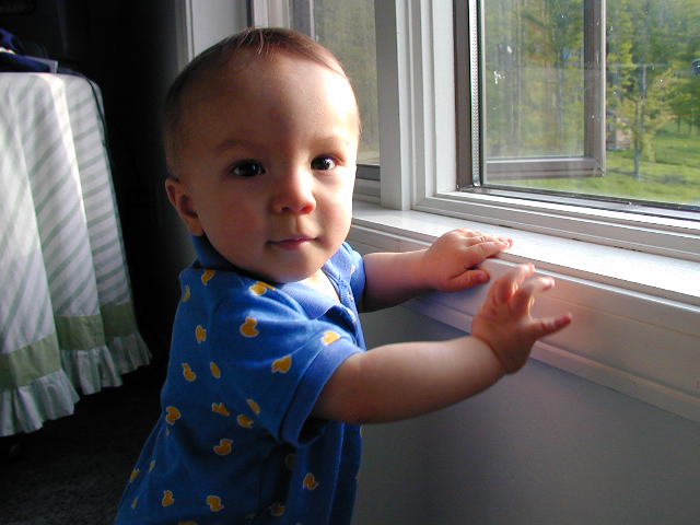 36060867.JPG, 6/6/03, 50 kB