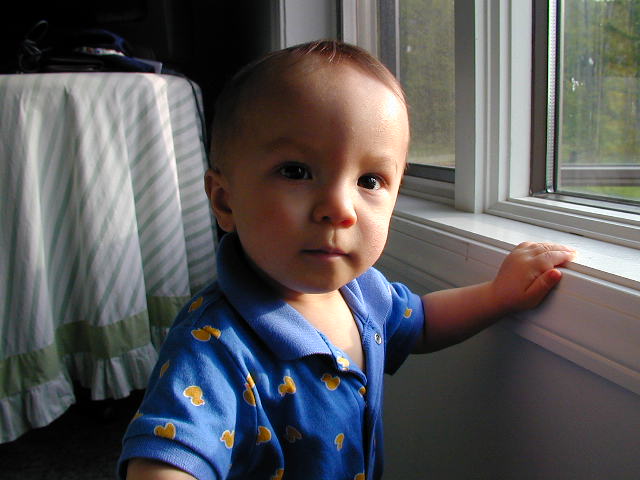 36060868.JPG, 6/6/03, 52 kB