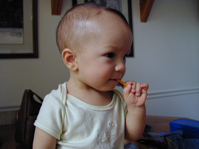 36060874.JPG, 6/6/03, 49 kB