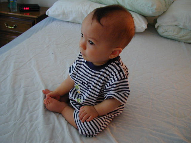 36070898.JPG, 6/7/03, 52 kB