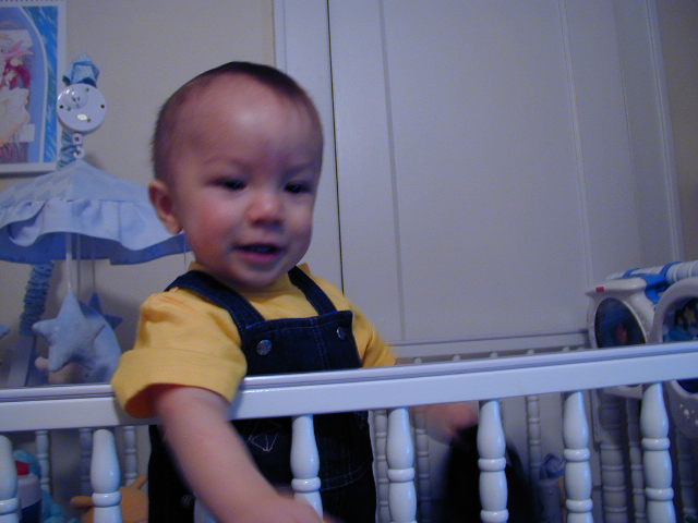 36140908.JPG, 6/14/2003, 49 kB