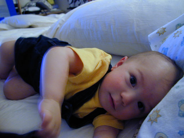 36150913.JPG, 6/15/2003, 50 kB