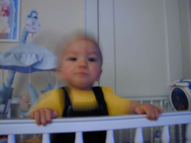 36150919.JPG, 6/15/2003, 53 kB